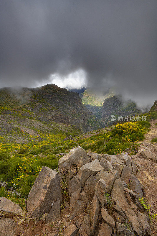 马德拉岛的山在Pico do ariiro和云彩在高山上